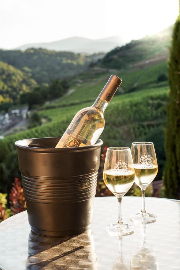 Hotel Wine Passion Panoramic Chavanay Esterno foto