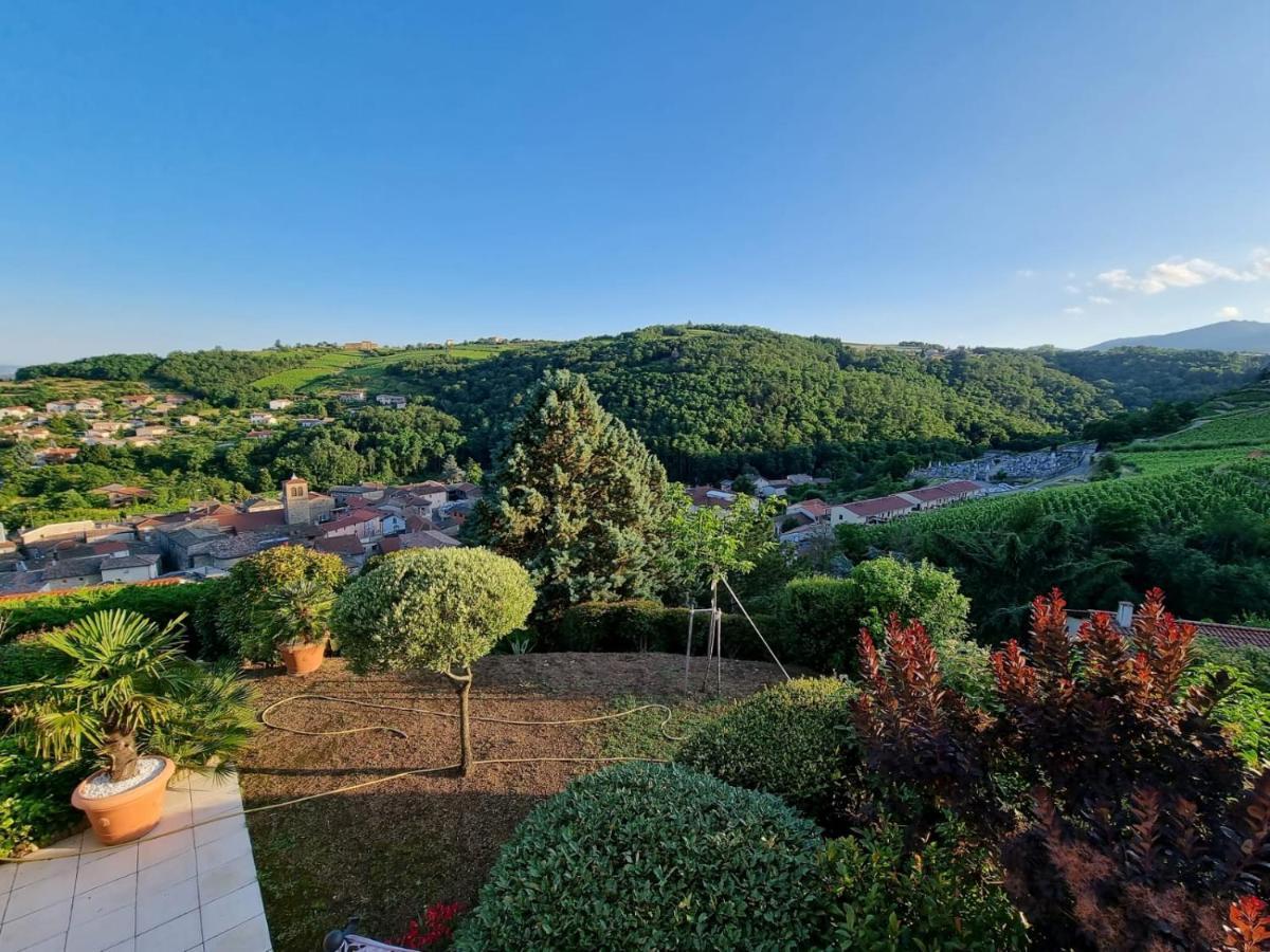 Hotel Wine Passion Panoramic Chavanay Esterno foto