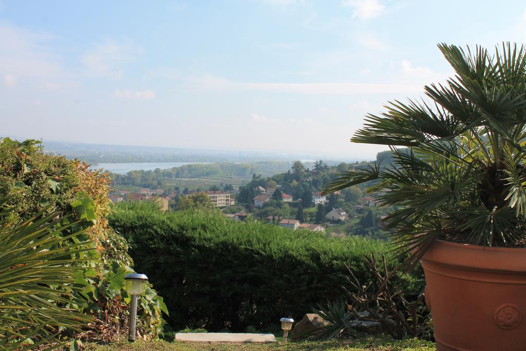 Hotel Wine Passion Panoramic Chavanay Esterno foto